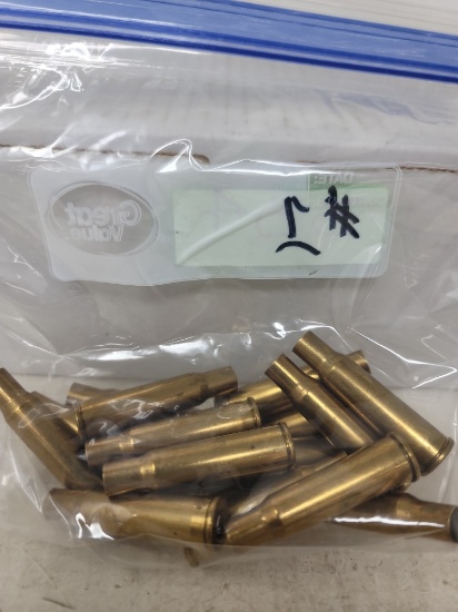 17 pcs once fired Winchester .348 Win brass (nice)
