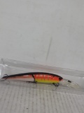 Custom Hand Painted Fishing Lure