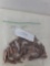 50 pcs unknown Bullets (possibly 243)