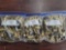 300 pcs 44 Rem Mag Brass