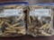 250 pcs 30-30 Win Winchester Brass