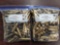245 pcs 243 Win Mixed Headstamp Brass