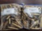 200 pcs 30-06 Winchester Brass