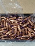 250 ct Nosler 6mm 55gr Spitzer Bullets