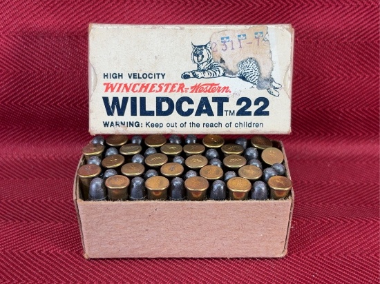 50 RD Box Winchester Western Wildcat 22 LR-40 gr-LRN