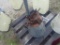 Metal Hopper