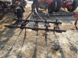 5 Tine Spring Tooth Harrow