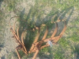 Set of Scratchers