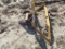 King Cutter 3 Pt. Hitch Cultivator (Yellow)