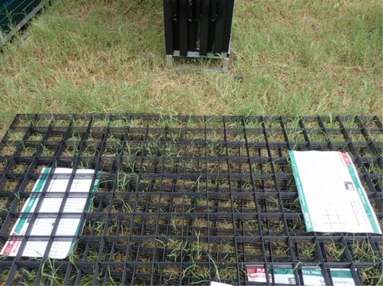 (5) Pieces of 3'3" x 6'6" Wire Mesh Panels