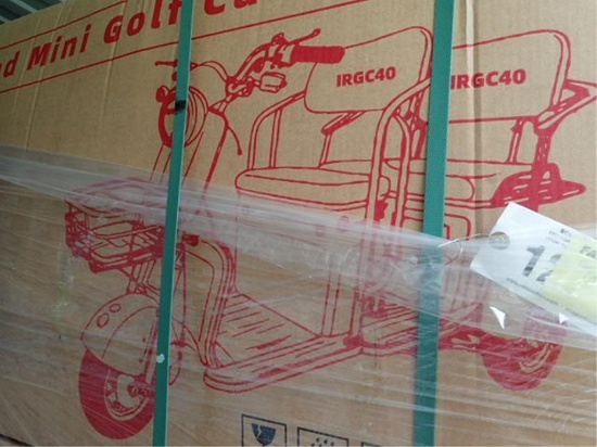 Mini Trike 3 Wheeled Electric Utility Cart