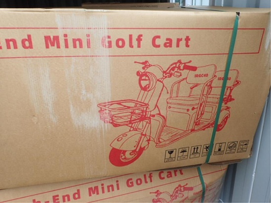 Mini Trike 3 Wheeled Electric Utility Cart