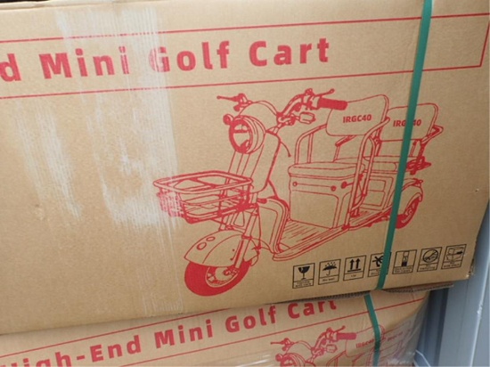 Mini Trike 3 Wheeled Electric Utility Cart
