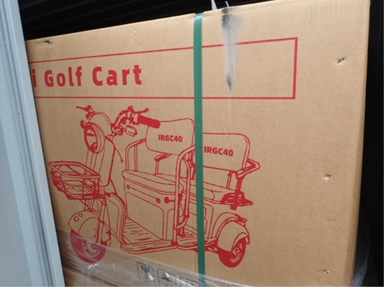 Mini Trike 3 Wheeled Electric Utility Cart