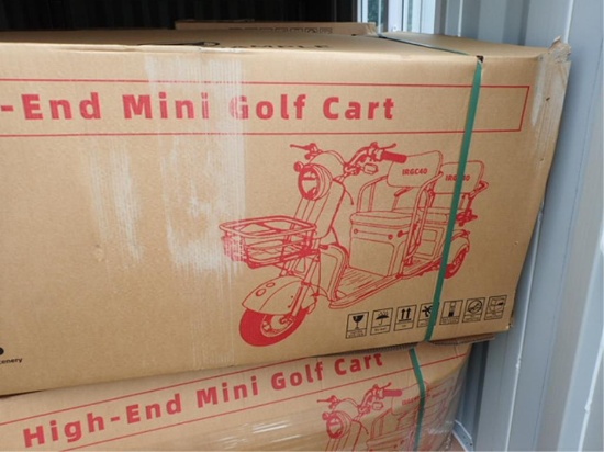 Mini Trike 3 Wheeled Electric Utility Cart