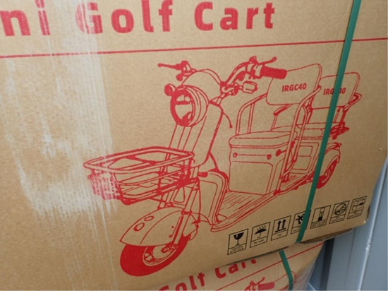 Mini Trike 3 Wheeled Electric Utility Cart