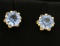 Sky Blue Crystal Stud Earrings