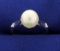 14k White Gold Solitaire Pearl Ring