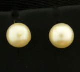 Pearl Stud Earrings