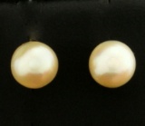 Stud Pearl Earrings