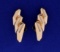 Rose Gold Large Clip On Earrings