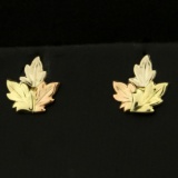 Leaf Nature Design Earrings In 14k Yellow, White, And Rose Gold