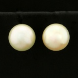 Pearl Stud Earrings In 14k Yellow Gold