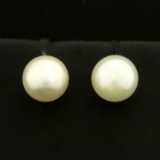 Akoya Pearl Stud Earrings In 14k Yellow Gold