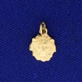 Lion's Head Charm In 14k Yellow Gold