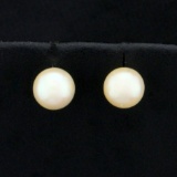 6.5mm Akoya Pearl Stud Earrings In 14k White Gold