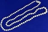 Graduated Cultured Akoya Pearl Necklace With 14k White Gold Clasp