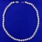 17 1/2 Inch Akoya Pearl Necklace With 14k White Gold Clasp