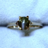 Chrysoberyl Cat's Eye Solitaire Ring In 14k White Gold