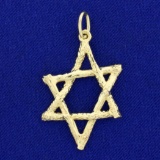 Star Of David Nature Design Pendant In 14k Yellow Gold