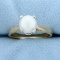 7.5mm Solitaire Akoya Pearl Ring In 14k Yellow And White Gold