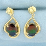 Aaa Quality Ammolite Dangle Earrings In 14k Yellow Gold