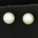 Akoya Cultured Pearl Stud Earrings In 14k Yellow Gold
