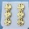 Diamond Cut Sand Dollar Dangle Earrings In 14k Yellow Gold