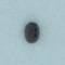 1ct Loose Natural Sapphire Gemstone