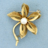 Italian Made Pearl Flower Pin In 14k Yellow Gold