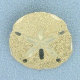 Sandblast Finish Sand Dollar Pendant Or Slide In 14k Yellow Gold