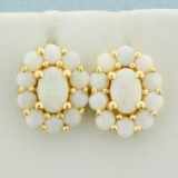 Opal Earrings In 14k Yellow Gold