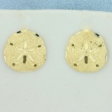 Sand Dollar Earrings In 14k Yellow Gold