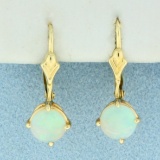 Opal Drop Earrings In 14k Yellow Gold