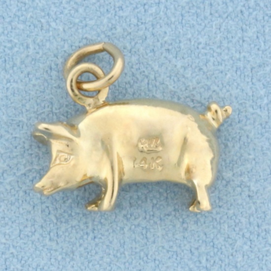 Pig Charm In 14k Yellow Gold