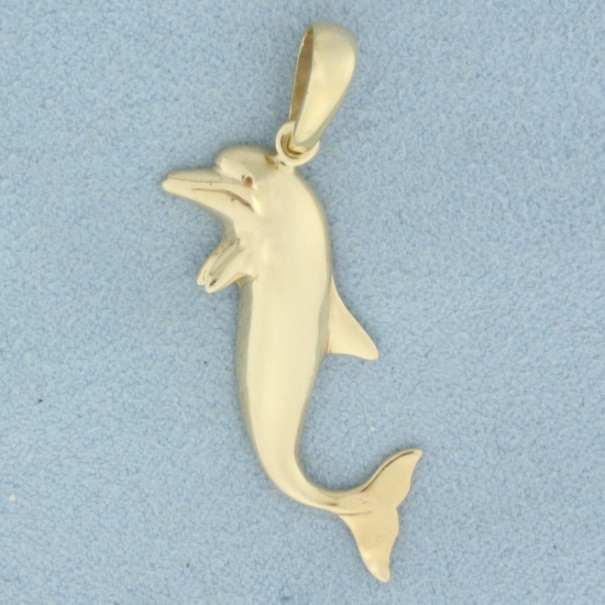 Dolphin Pendant In 14k Yellow Gold