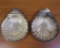 Antique Barker Brothers Fine English Silver Plated Heraldic Shell Bowls, Set Of Two