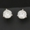 2ct Gia Certified Diamond Stud Earrings In Platinum Settings