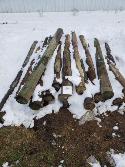 Unused 6" X 7 foot wooden Fence posts