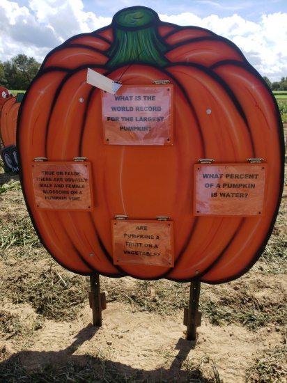 Pumpkin trivia sign